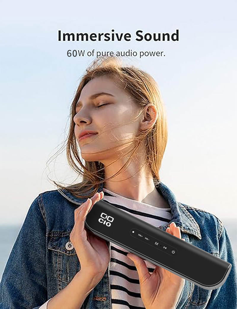 60W Portable Bluetooth Speakers